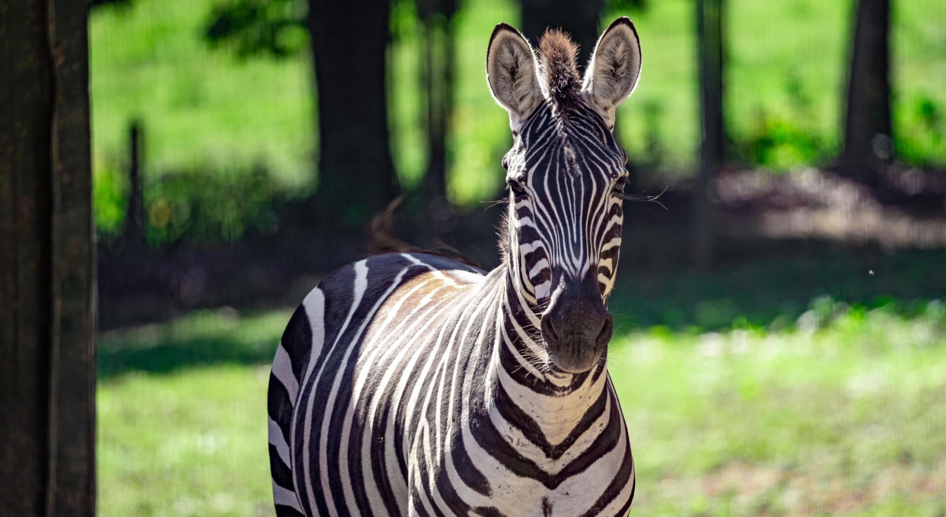 when is the best time to visit zoofari park